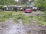 Storm damage fallen trees